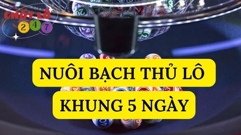 Bắt lô bạch thủ 5 ngày theo đầu câm đuôi câm