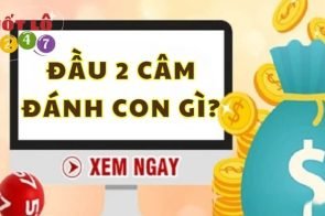 Bí kíp bắt cầu đầu 2 câm hôm sau đánh con gì thắng lớn