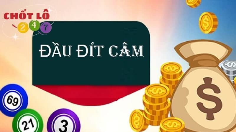 Đầu 3 câm hôm sau đánh con gì, số mấy?