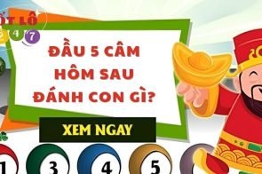 Cách soi cầu đầu 5 câm hôm sau đánh con gì dễ trúng nhất