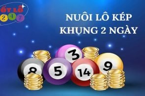 Soi Cầu Lô Kép Khung 2 Ngày Miễn Phí, Thắng Liên Tục