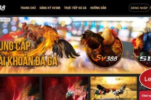 Trách Nhiệm Cá Cược SV388 – Cổng Game Cá Cược Lành Mạnh